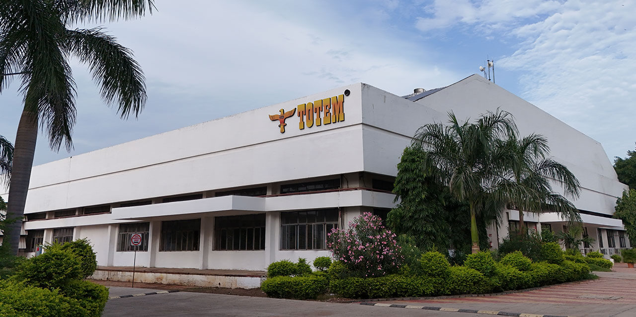 Totem Home Video Image